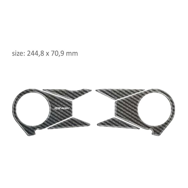 Carbon prillid - Kawasaki ZX 10R (06-10) allahindlus