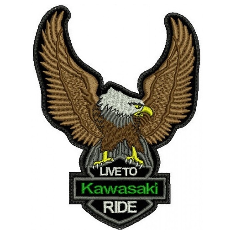 Eagle Live to Kawasaki plaaster