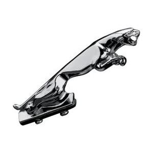 Fender kaunistus Panther