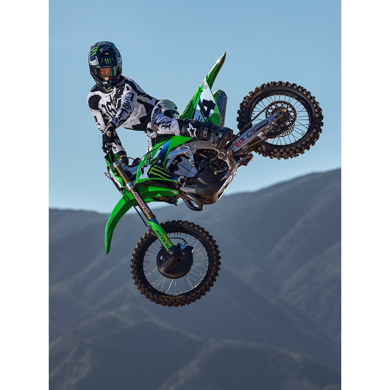 Alpinestars Techstar piiratud väljaande motokrossisärk Wolf Dust liiva-must