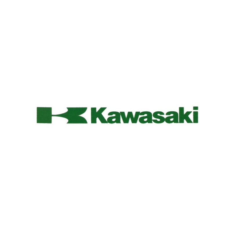 Kawasaki kleebis roheline