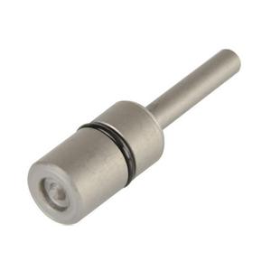 Rothewaldi neetimisdorn